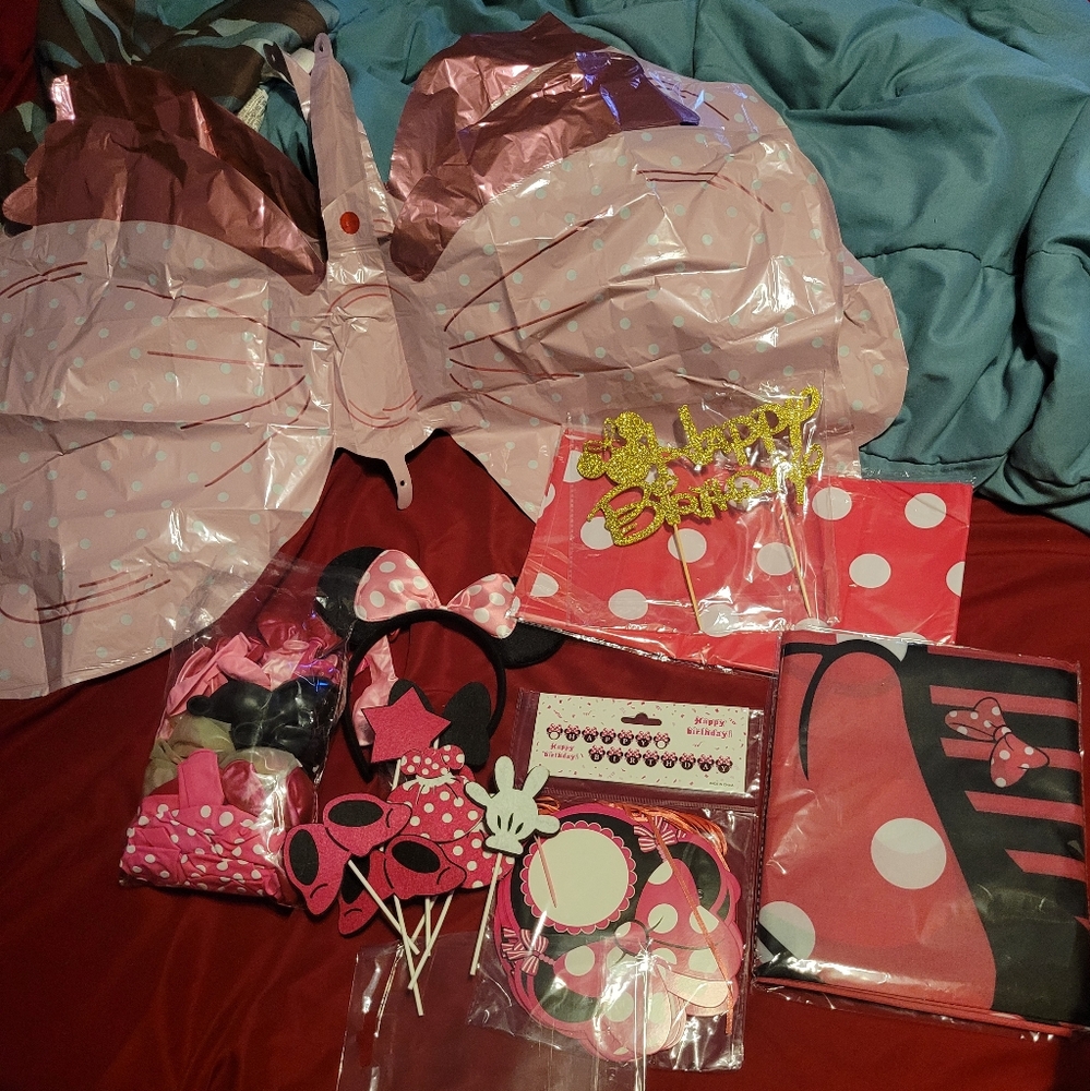 Minnie Mouse Decoration